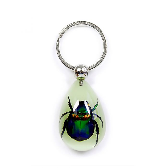 Key Glow-Rutelian Beetle Grn
