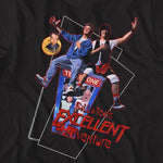 Bill & Ted Flying