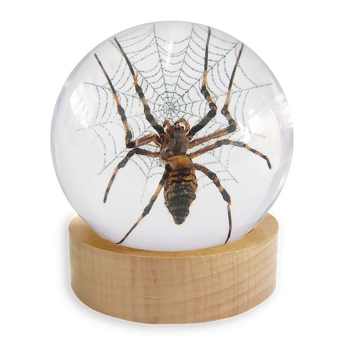 Globe-Spider