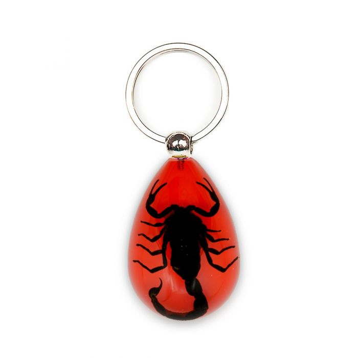 Key Color Scorpion Red