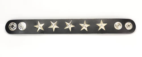 BR w/Silver Star Studs