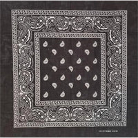 Black Paisley Square 21"