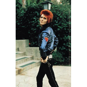 Bowie Color Photo Standing