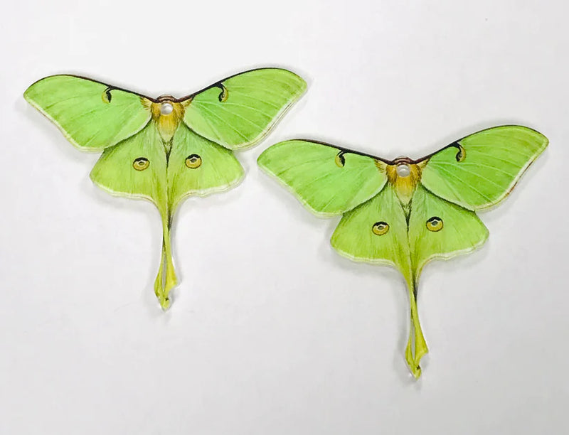 ER-Acrylic Luna Moth