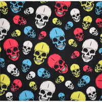 Skulls Colorful 21" x 21"