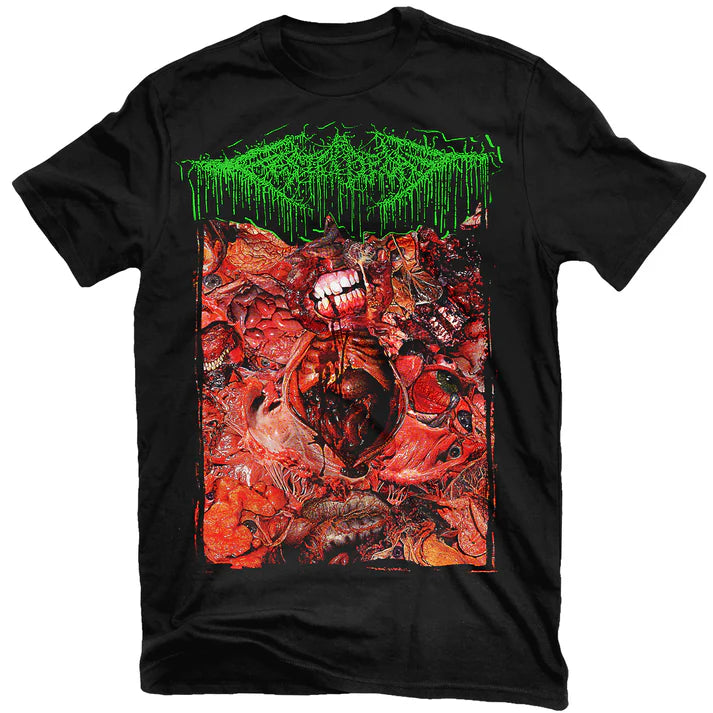 FesterDecay From Demo To Rot