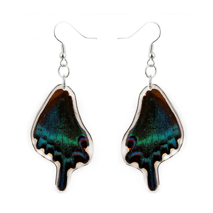 ER-Blue/Green Butterfly Wing