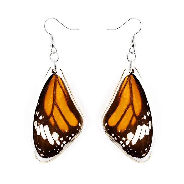 ER-Monarch Butterfly Wing
