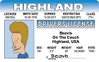 ID-Beavis