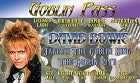 ID-Bowie Labrynth