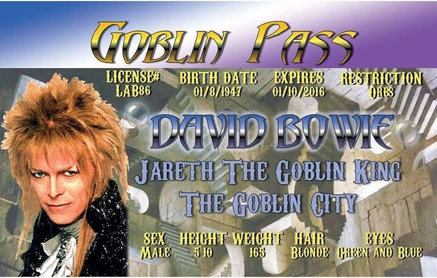 ID-Bowie Labrynth