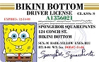 ID-Sponge Bob