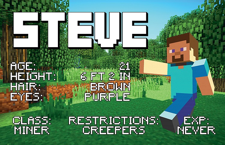 ID-Steve Minecraft