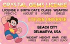 ID-Steven Universe