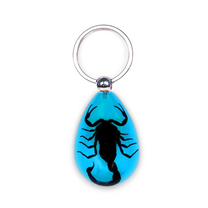 Key Color Scorpion Blue
