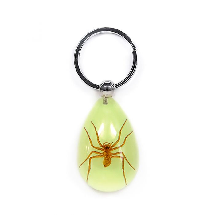 Key Glow-Spider