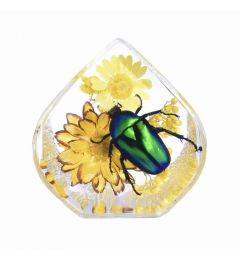 Teardrop-Green Rose Cafer Beetl