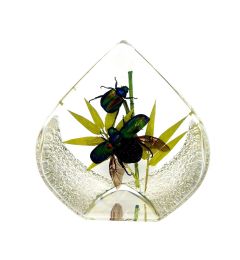 Teardrop-Rutelian & Green Decor
