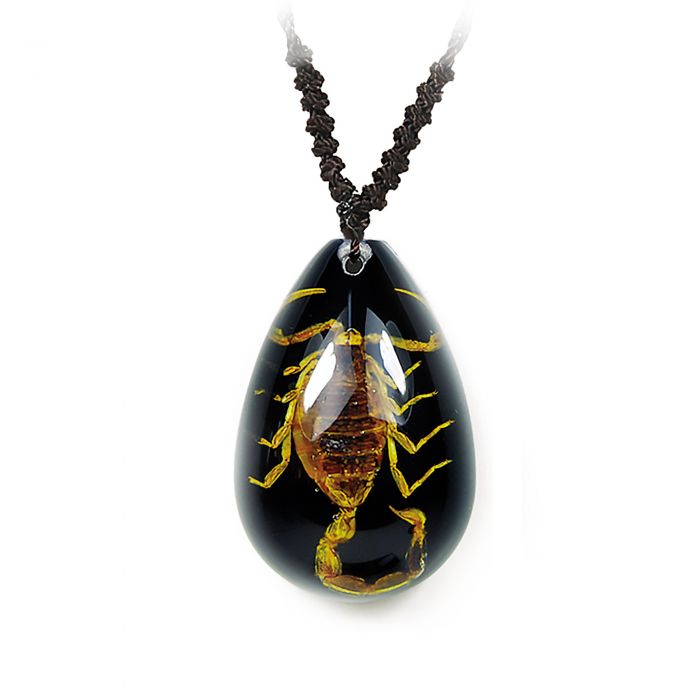 NK- Scorpion Black Background