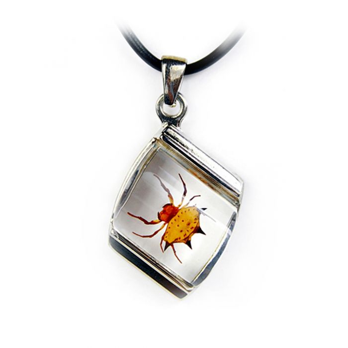 NK- Square Spiny Spider