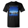 Pink Floyd Diver