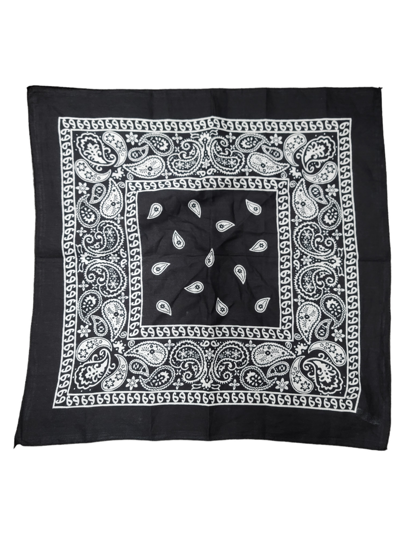 Black Paisley Thick Border 22"