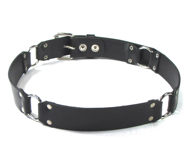3-Ring Belt