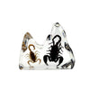Brown and Black Scorpion Decora