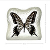 Swallowtail Butterfly Frosted P