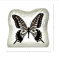 Swallowtail Butterfly Frosted P