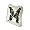 Swallowtail Butterfly Frosted P