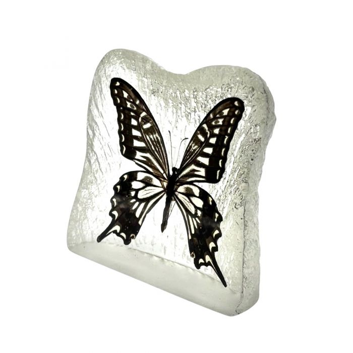 Swallowtail Butterfly Frosted P