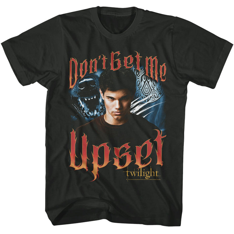 Twilight Don't Get Me Upset