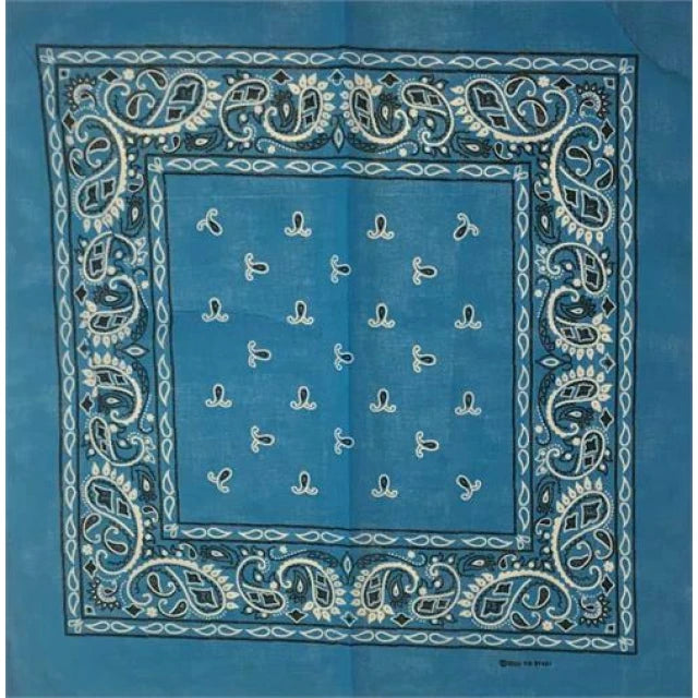 Turquoise Paisley Square 21"