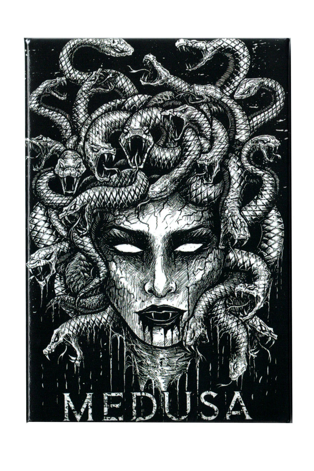 Magnets-Medusa