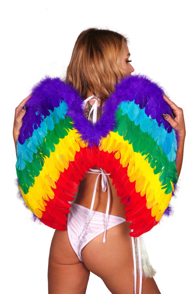 Wings-Rainbow