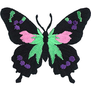 Butterfly Black and Neon