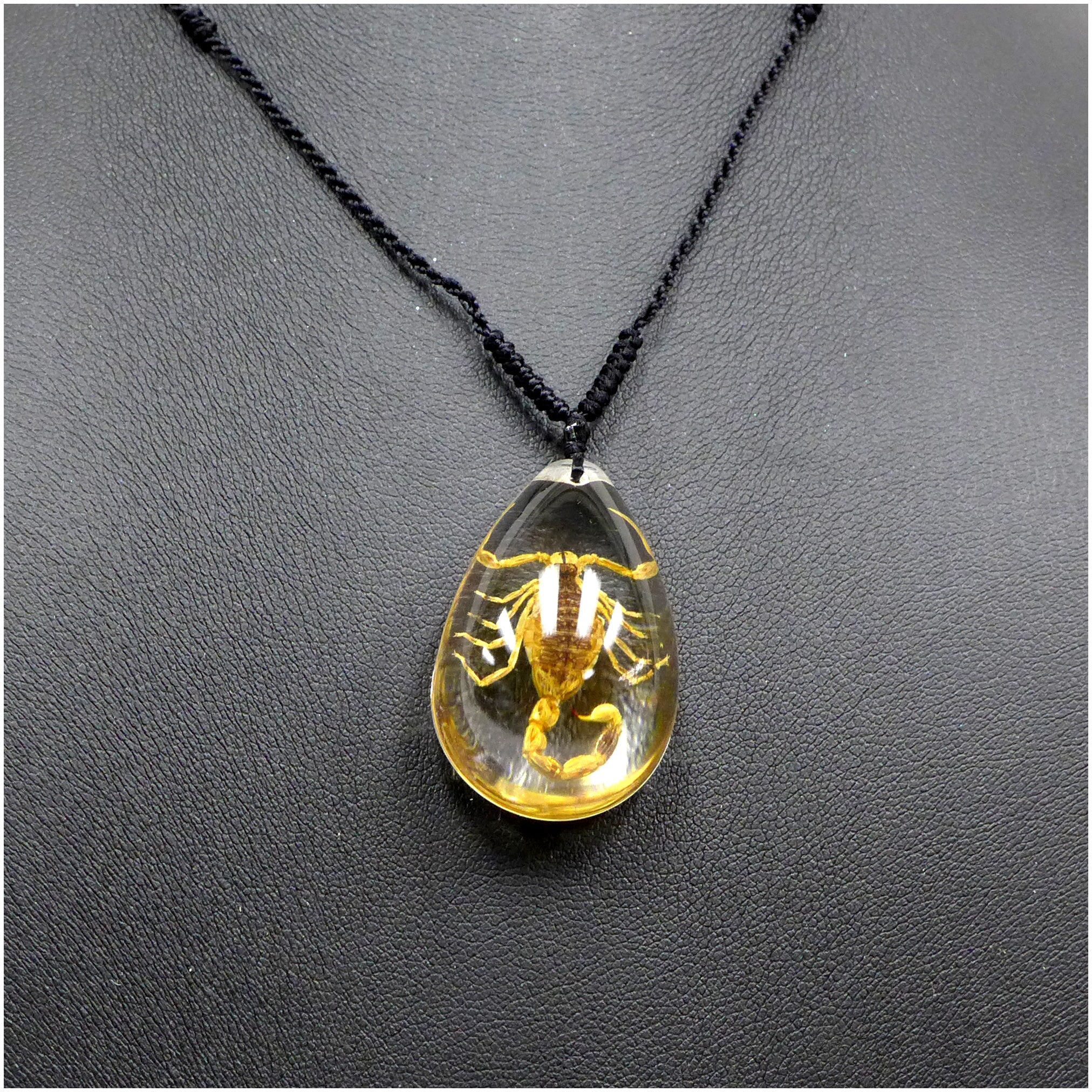 Brown Scorpion in Clear Lucite Necklace