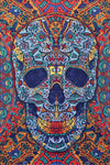 3D Skull