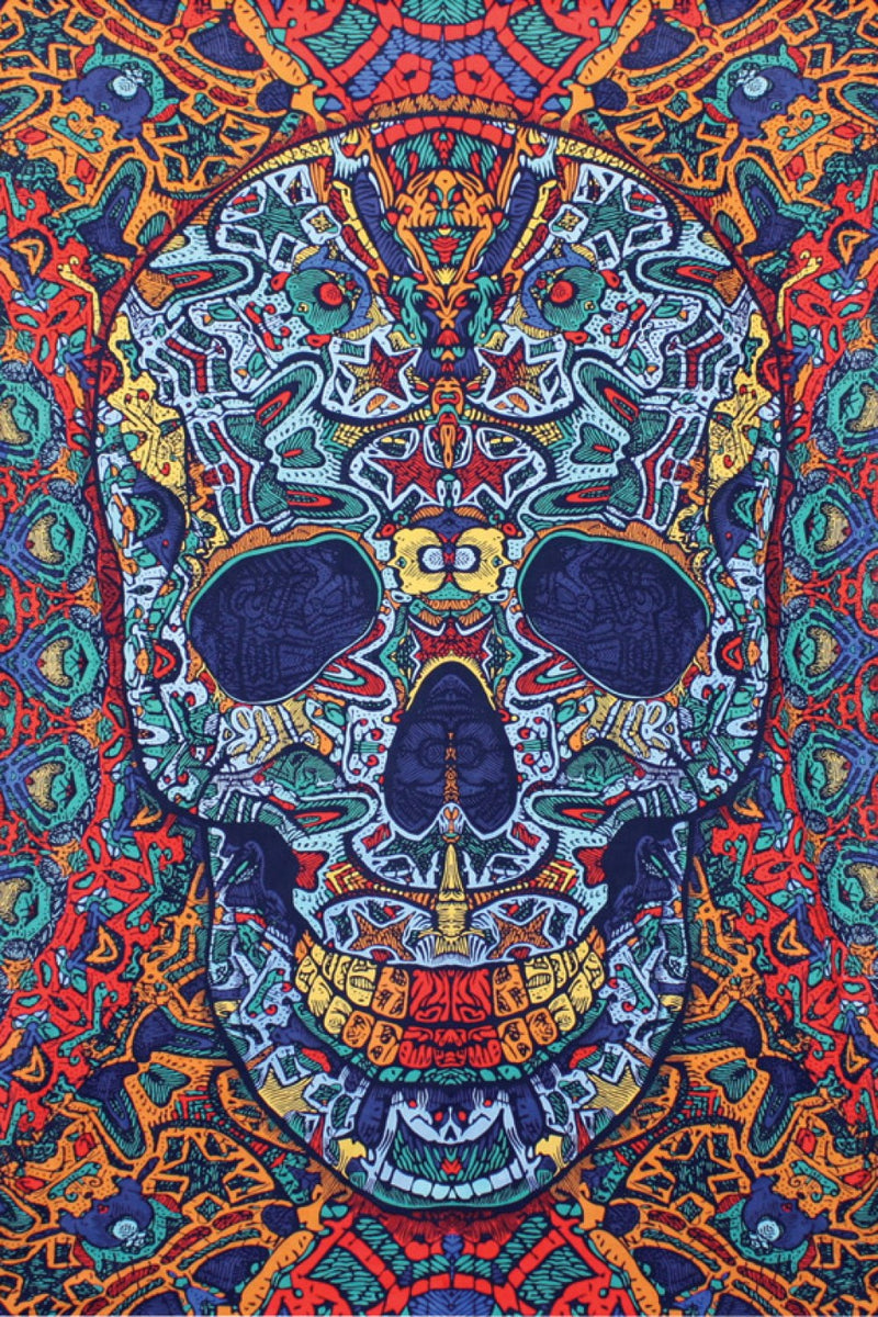 3D Skull