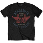 Aerosmith Sweet Emotion Shirt