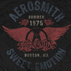 Aerosmith Sweet Emotion Shirt