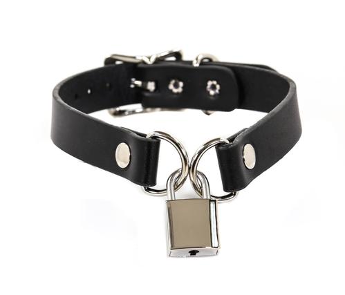 Square Lock D-Ring Silver Choker