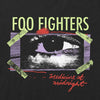 Foo Fighters Medicine at Midnight