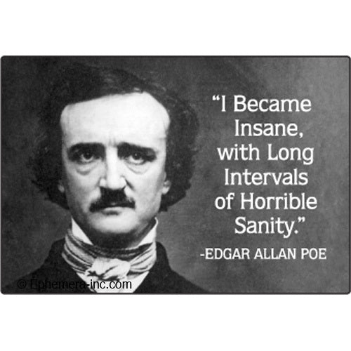 "I became insane, with long intervals of horrible sanity." - Edgar Allen Poe Magnet