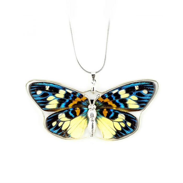 NK-Butterfly 05 Thin mult color