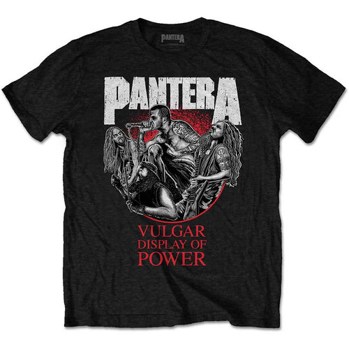 Pantera Vulgar 30th Group Drawn