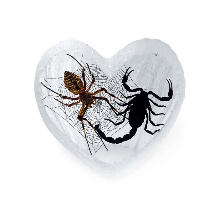 Paperweight-Spider/Scorp Heart