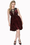 Shadow Angel Burgundy Dress