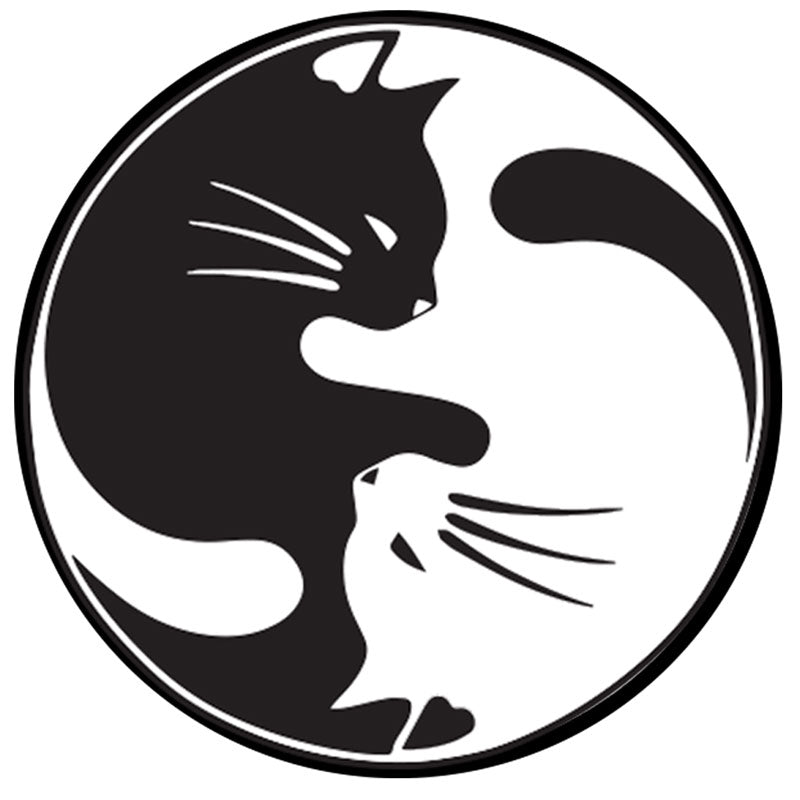 Yin Yang Cat